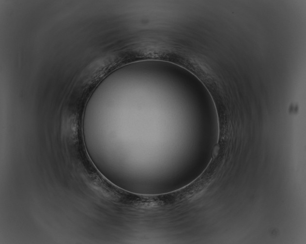 X0000091680646200708301521