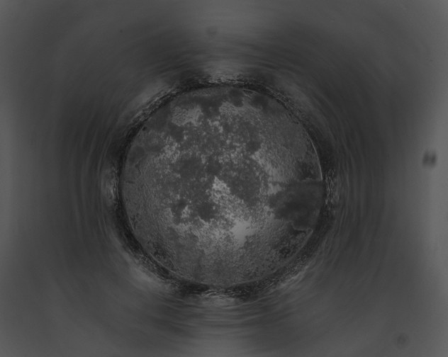 X0000091680648200708301521