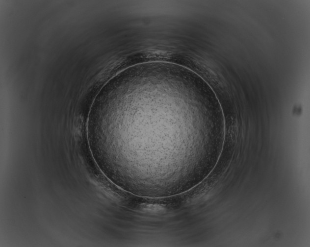 X0000091680649200708301521