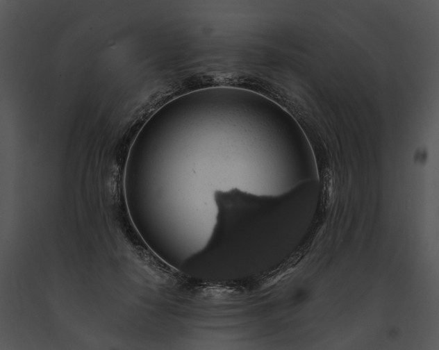 X0000091680650200708301521