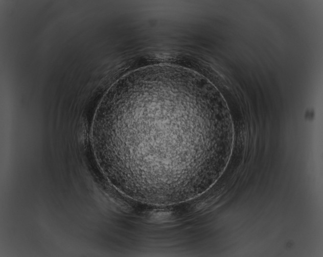 X0000091680651200708301521