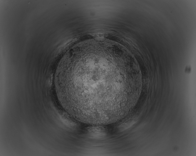 X0000091680652200708301521