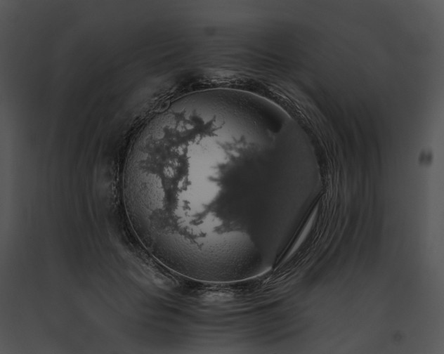 X0000091680653200708301521