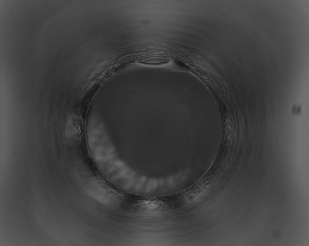 X0000091680654200708301521