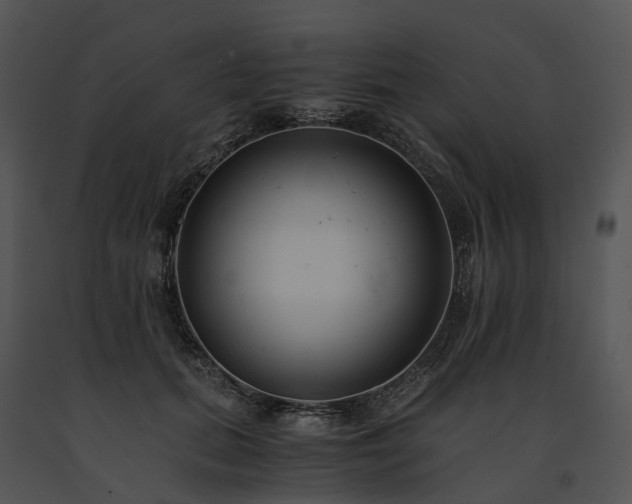 X0000091680655200708301521