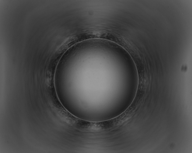 X0000091680656200708301521