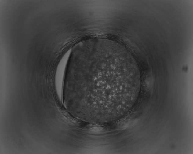 X0000091680658200708301521