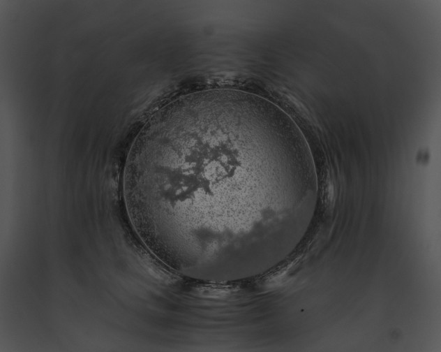 X0000091680661200708301521