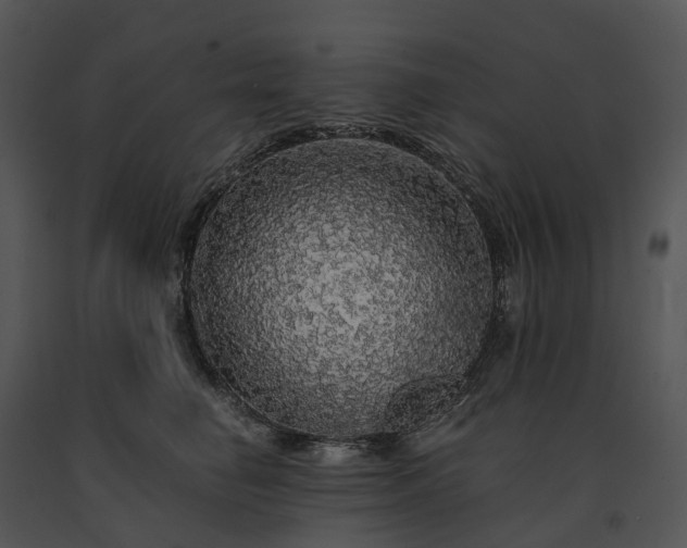 X0000091680662200708301521