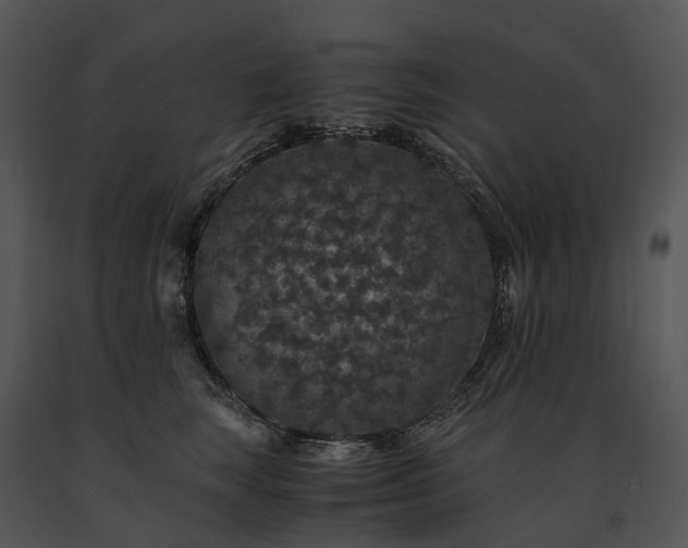 X0000091680663200708301521