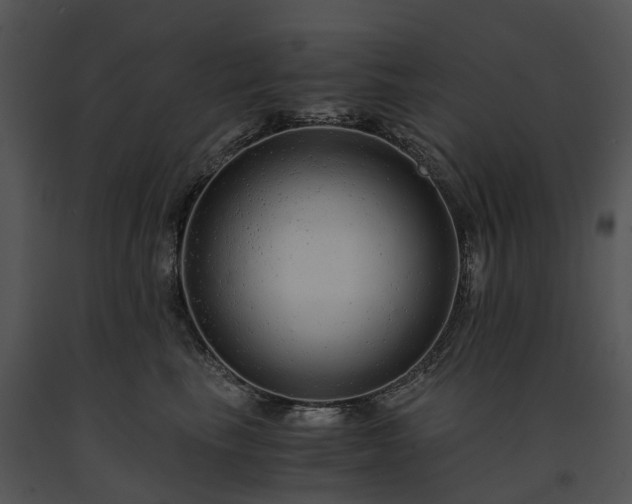 X0000091680665200708301521