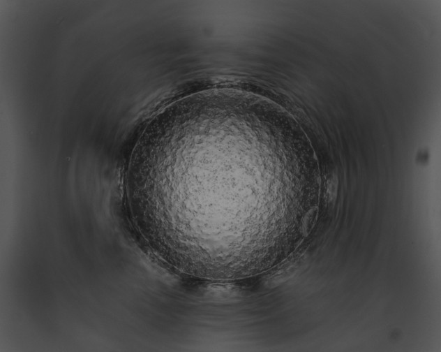 X0000091680666200708301521