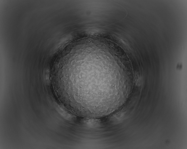 X0000091680670200708301521