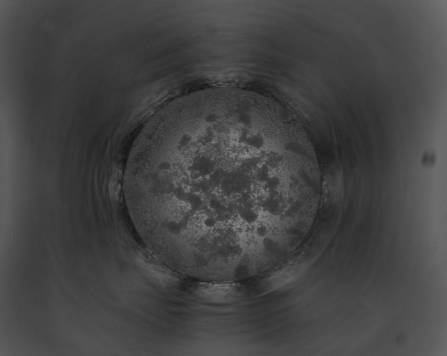 X0000091680671200708301521