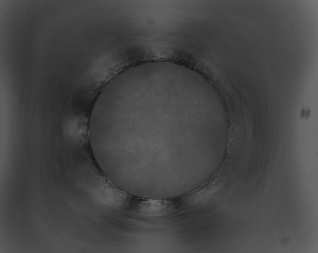 X0000091680672200708301521