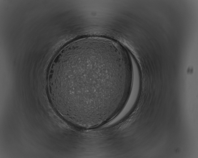 X0000091680673200708301520