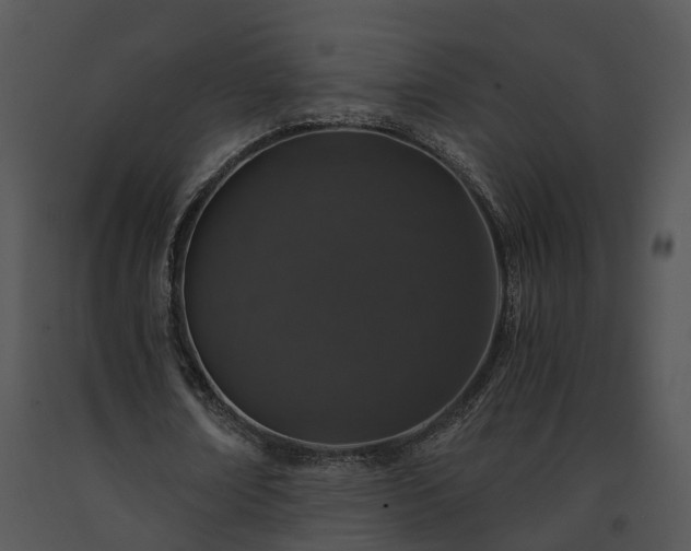 X0000091680674200708301520