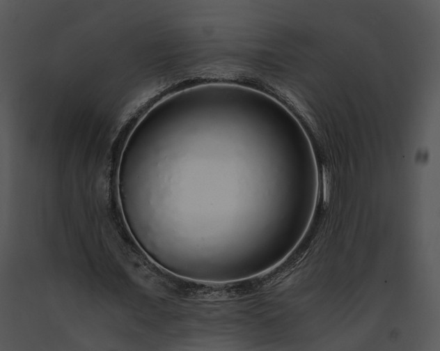 X0000091680675200708301520