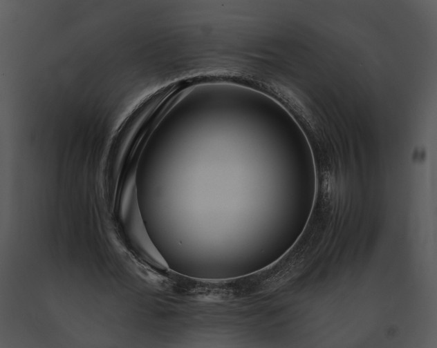 X0000091680676200708301520