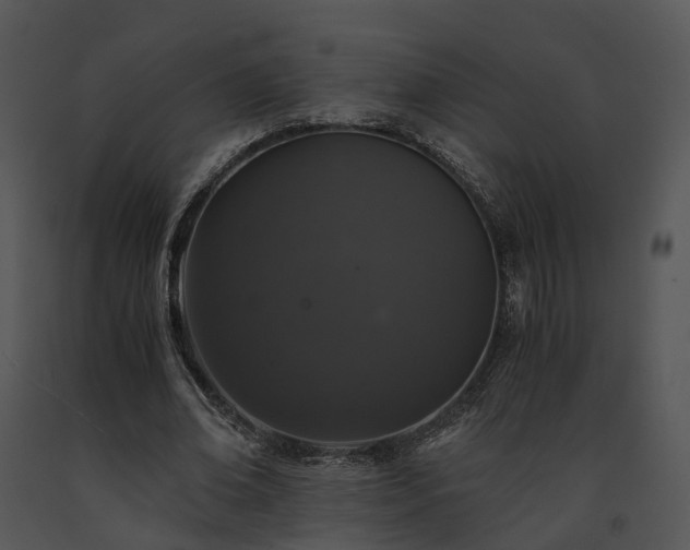 X0000091680678200708301520