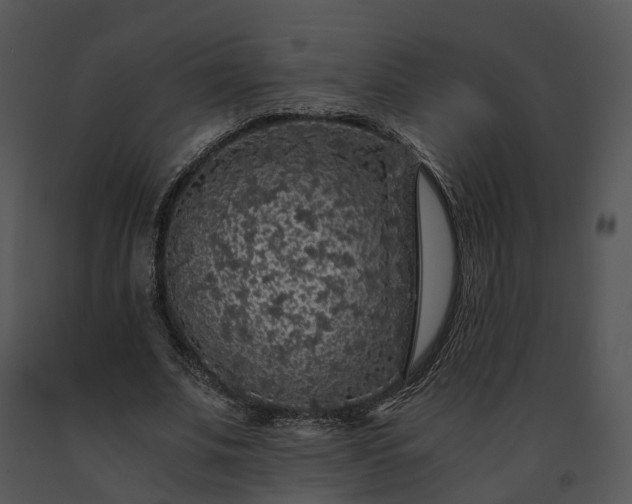 X0000091680679200708301520