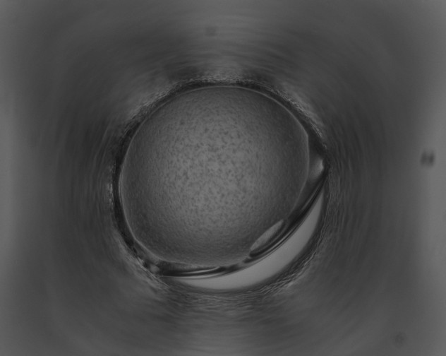 X0000091680681200708301520
