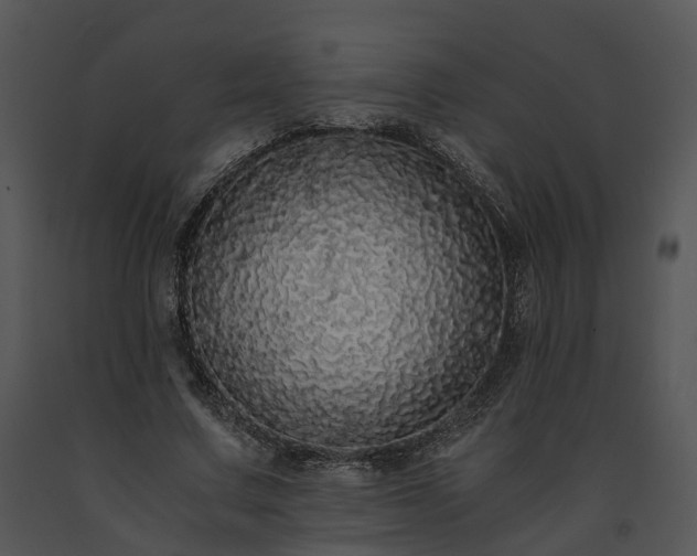 X0000091680683200708301520