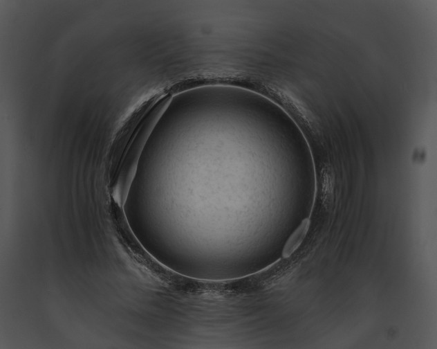 X0000091680684200708301520