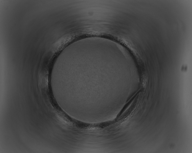 X0000091680685200708301520