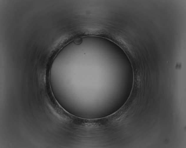 X0000091680686200708301520
