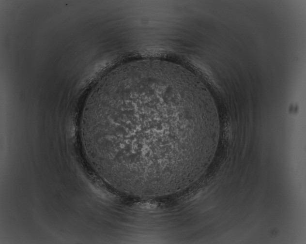 X0000091680687200708301520