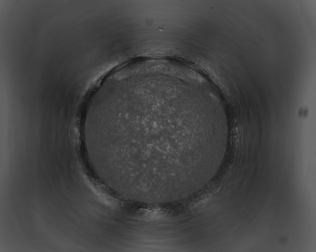X0000091680688200708301520