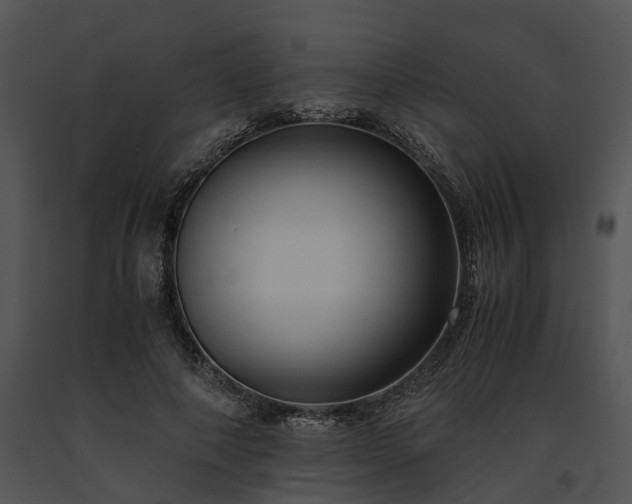 X0000091680690200708301520
