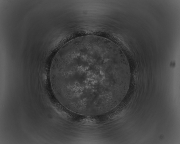 X0000091680691200708301520