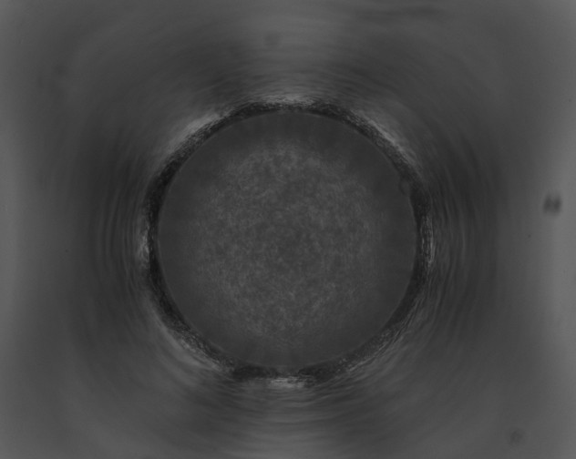 X0000091680692200708301520