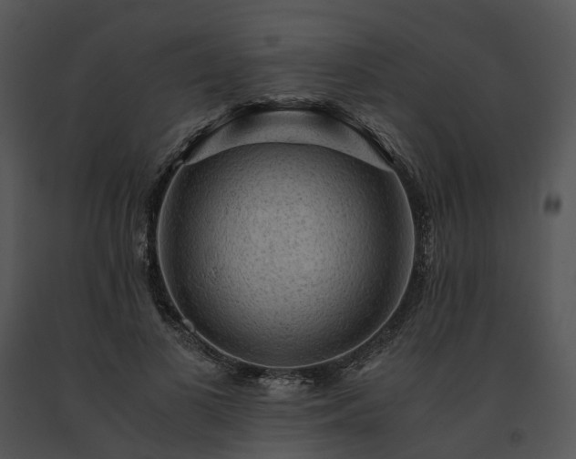 X0000091680693200708301520
