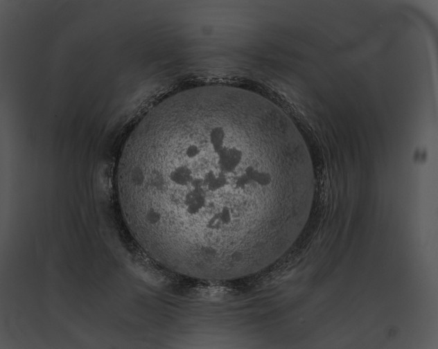 X0000091680695200708301520