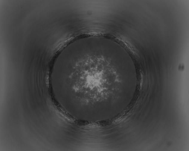 X0000091680696200708301520