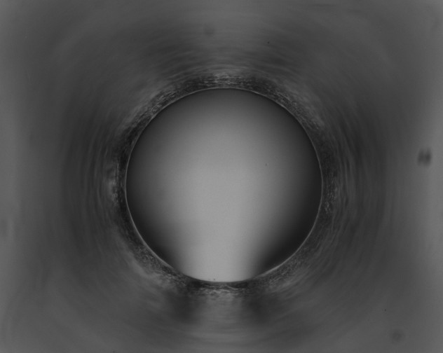 X0000091680698200708301520