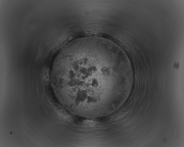 X0000091680699200708301520
