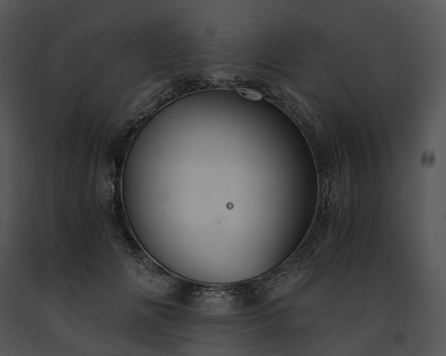 X0000091680702200708301520