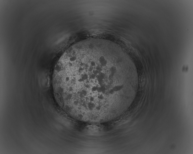 X0000091680703200708301520