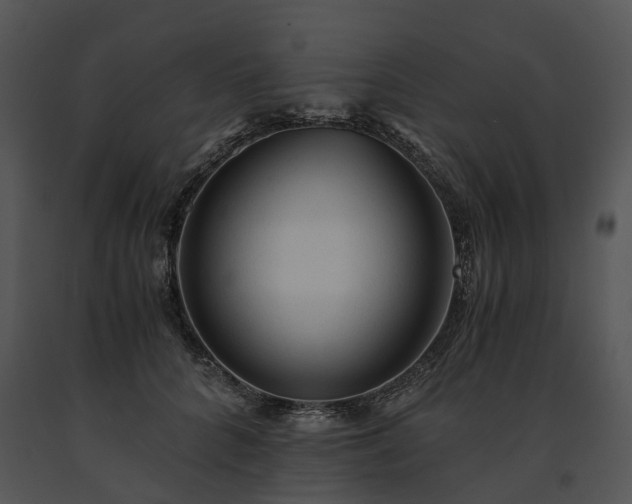 X0000091680704200708301520