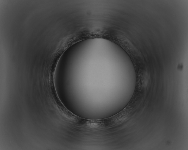 X0000091680706200708301520