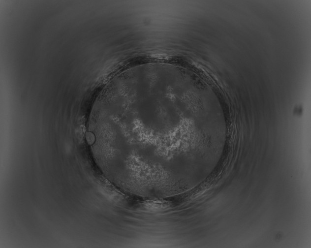 X0000091680707200708301520