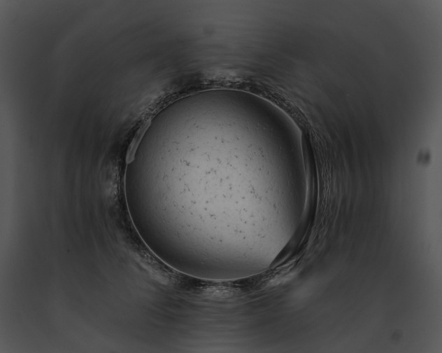 X0000091680708200708301520