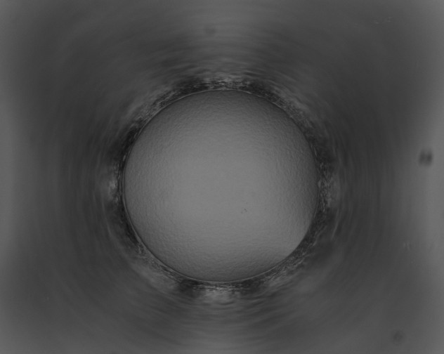 X0000091680709200708301520
