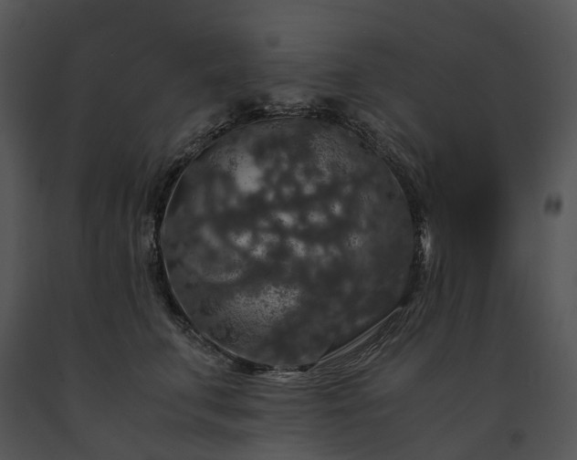 X0000091680711200708301520