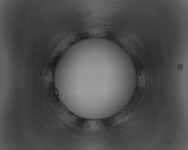 X0000091680713200708301520