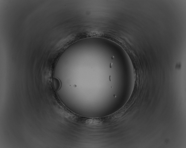 X0000091680714200708301520